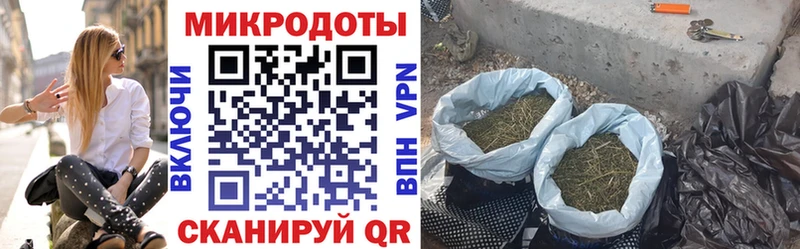 Купить  Задонск  Галлюциногенные грибы Psilocybe 